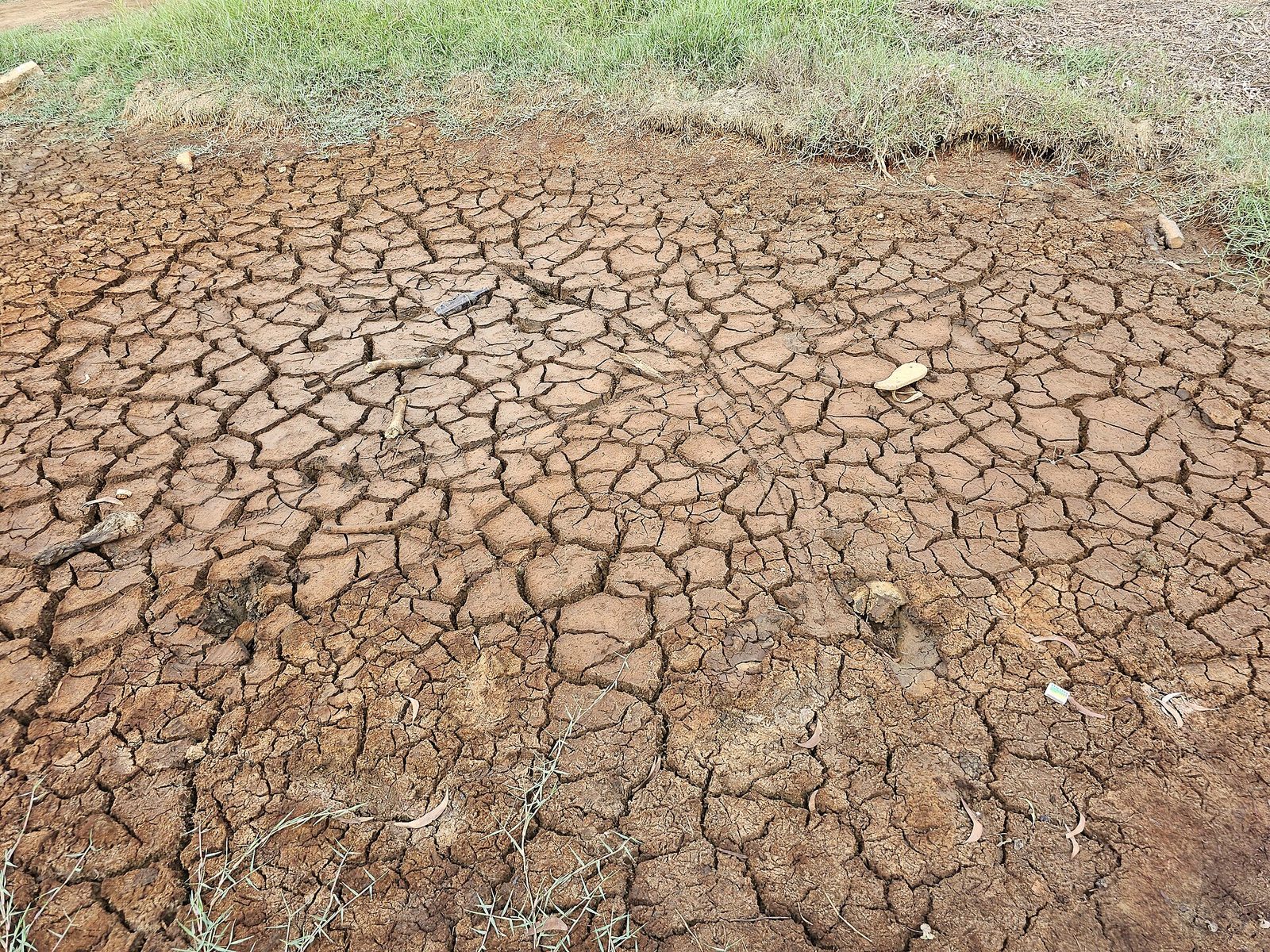 Clima e escassez de alimentos elevam o risco de guerras no mundo
