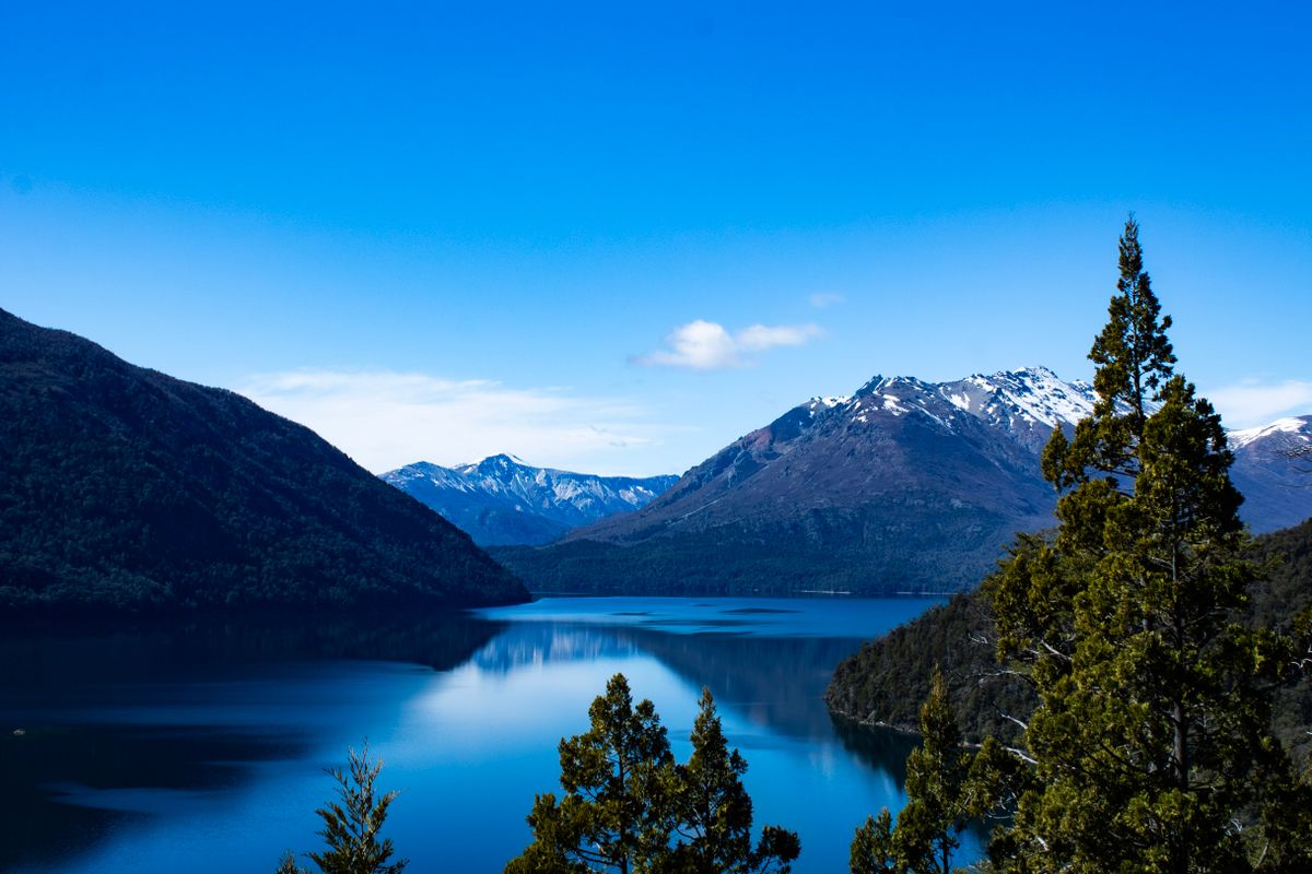 Gin Argentino da Patagônia Eleito o Melhor do Mundo Mira Faturamento Recorde