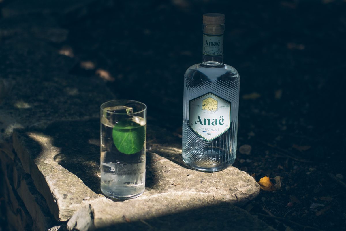 Adriano Jose Reis Martins - Gin Nacional o Que Mudou na Última Década