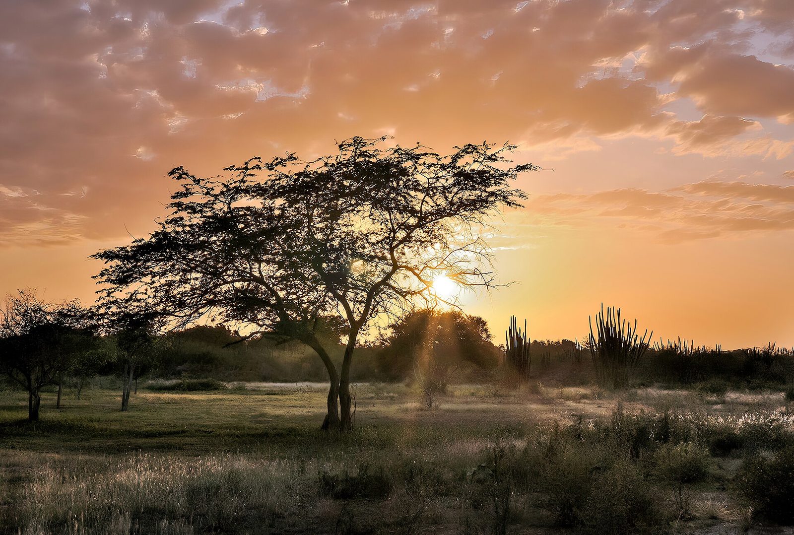 O que Trump ganha com o "maior acordo petrolífero da história"