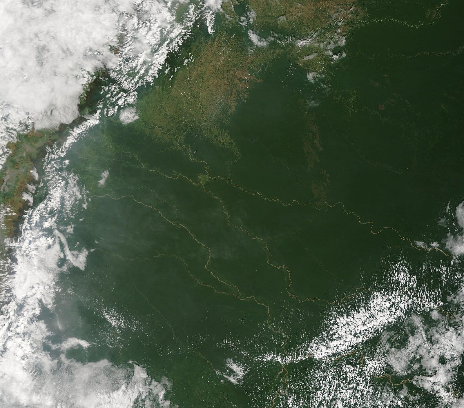 Pecuária Sustentável do Pará flerta com o fracasso após adiar