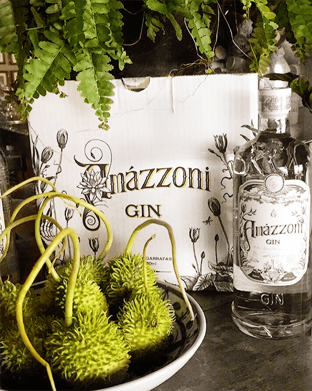 Garrafa e caixa do gin Amázzoni cercadas de plantas.