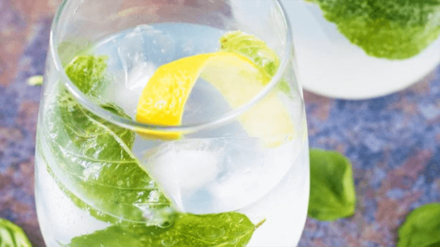 Gin Tônico - Receita de Drink com Gin