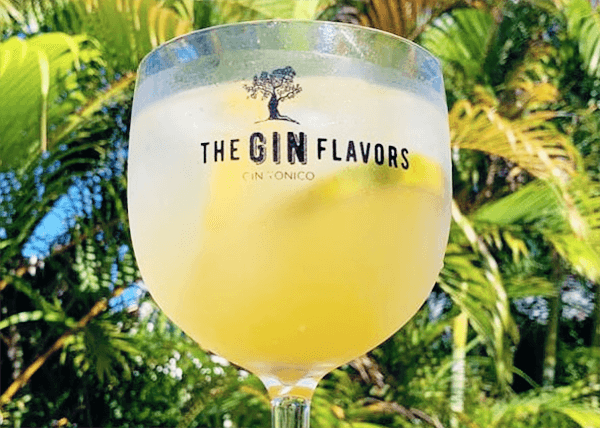 Taça da The Gin Flavors com gin tônica em frente a palmeiras.