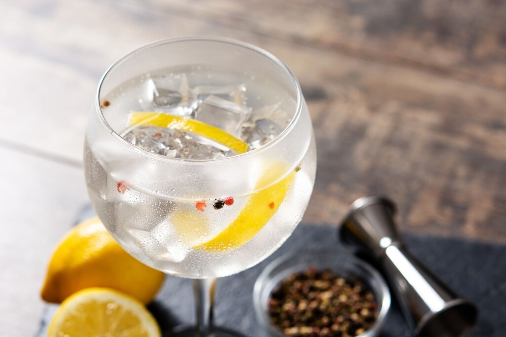 Drink fácil com Gin: 10 receitas simples e surpreendentes
