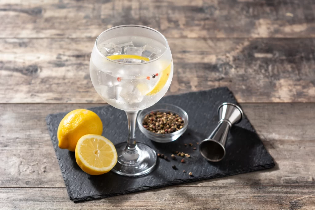 Taça com gin, limão e especiarias sobre a mesa para quem contrata barman em casa